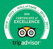 TripAdvisor Certificate of Excellence Winner